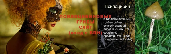мет Богородск