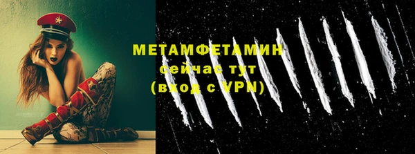 ГАЛЛЮЦИНОГЕННЫЕ ГРИБЫ Богданович