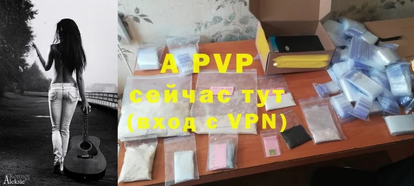 ГАЛЛЮЦИНОГЕННЫЕ ГРИБЫ Богданович