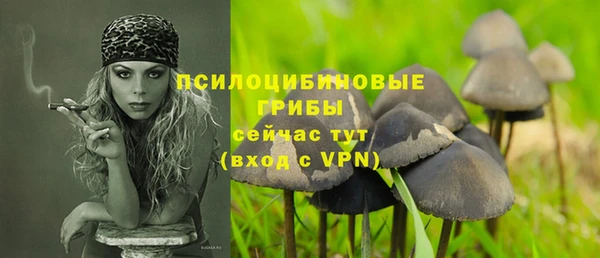 гашиш Богородицк