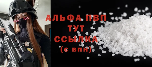 ГАЛЛЮЦИНОГЕННЫЕ ГРИБЫ Богданович