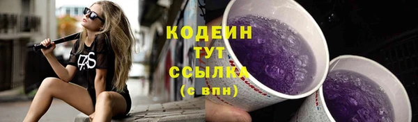 ГАЛЛЮЦИНОГЕННЫЕ ГРИБЫ Богданович