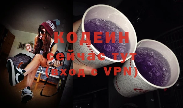 ГАЛЛЮЦИНОГЕННЫЕ ГРИБЫ Богданович