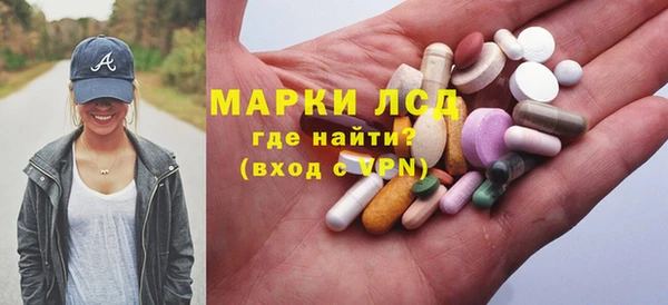 ГАЛЛЮЦИНОГЕННЫЕ ГРИБЫ Богданович