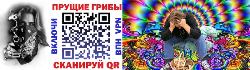 Псилоцибиновые грибы MAGIC MUSHROOMS  Купить  Котельниково 